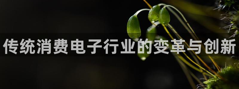 凯发k8客户端|传统消费电子行业的变革与创新